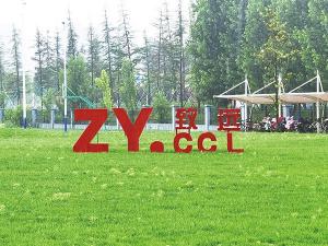 豸